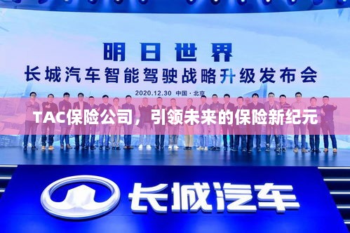 TAC保险公司,引领保险新纪元,开创未来新篇章-图1 TAC保险公司,引领保险新纪元,开创未来新篇章-图1