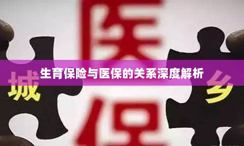 生育保险与医保关系的深度探讨-图1 生育保险与医保关系的深度探讨-图1