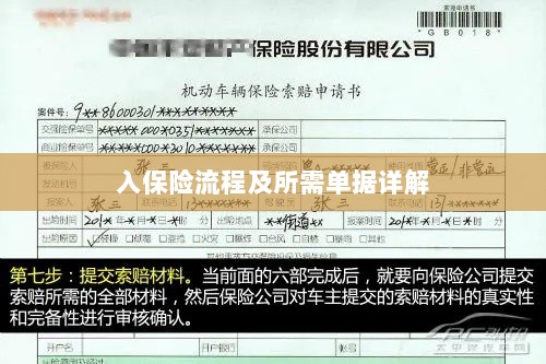 保险投保流程与所需单据全面解析-图1