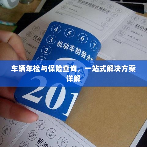 车辆年检与保险查询，一站式解决方案全面解析-图1
