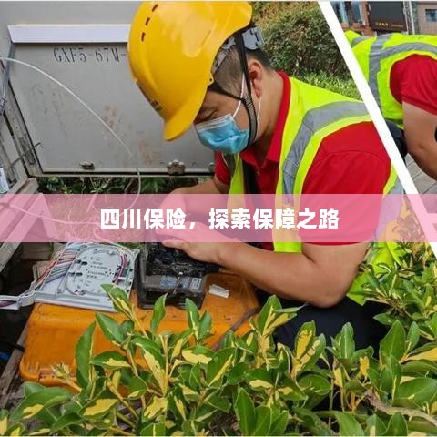 四川保险,探索全方位保障之路-图1 四川保险,探索全方位保障之路-图1