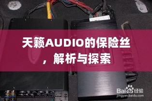 天籁AUDIO保险丝解析与探索-图1