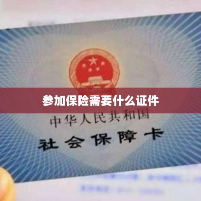 参加保险所需证件概览-图1