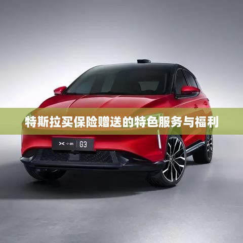 特斯拉保险特惠，独家特色服务与丰厚赠品等你来享-图1