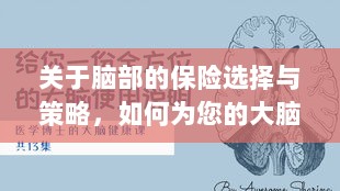 如何选择合适的脑部保险,为您的大脑保驾护航?-图1 如何选择合适的脑部保险,为您的大脑保驾护航?-图1