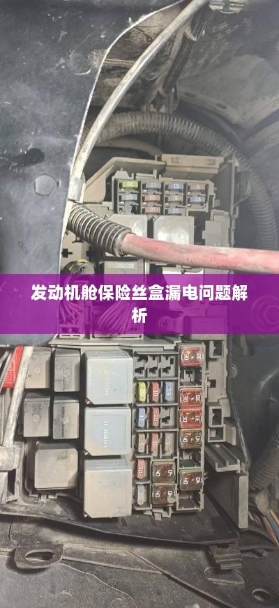 发动机舱保险丝盒漏电问题深度解析-图1 发动机舱保险丝盒漏电问题深度解析-图1