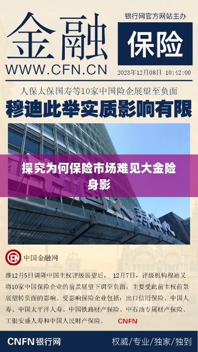 大金险在保险市场难觅踪迹的探究-图1