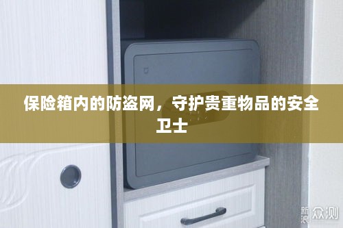 保险箱内防盗网,守护贵重物品的安全屏障-图1 保险箱内防盗网,守护贵重物品的安全屏障-图1