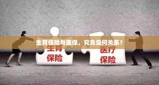 生育保险与医保，究竟有何关联？-图1