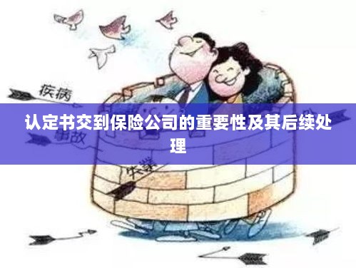 认定书交到保险公司的重要性及后续处理流程详解-图1