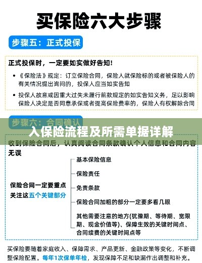 保险投保流程与所需单据全面解析-图1