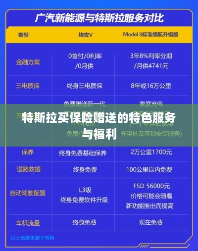特斯拉保险特惠,独家特色服务与丰厚赠品等你来享-图1 特斯拉保险特惠,独家特色服务与丰厚赠品等你来享-图1