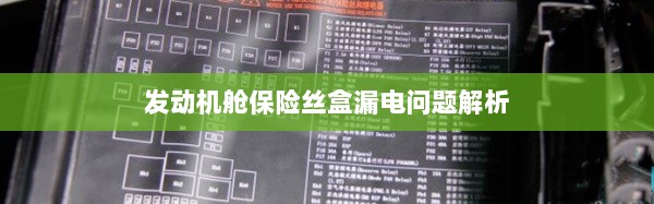发动机舱保险丝盒漏电问题深度解析-图1 发动机舱保险丝盒漏电问题深度解析-图1