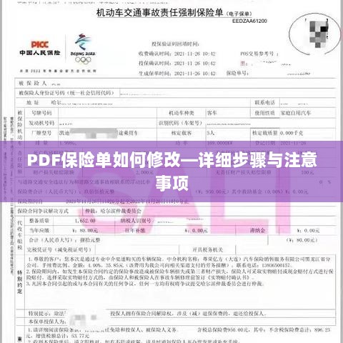 PDF保险单修改指南,步骤详解及注意事项-图1 PDF保险单修改指南,步骤详解及注意事项-图1
