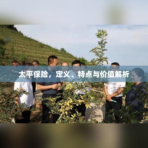 太平保险，定义、特色与价值深度解析-图1