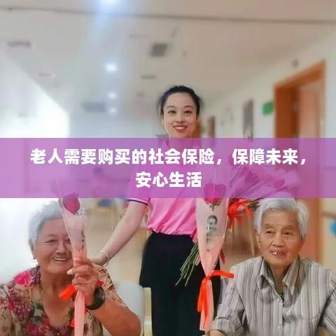 老人社会保险,保障未来,安心生活-图1 老人社会保险,保障未来,安心生活-图1