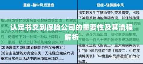 认定书交到保险公司的流程解析与重要性探讨-图1 认定书交到保险公司的流程解析与重要性探讨-图1