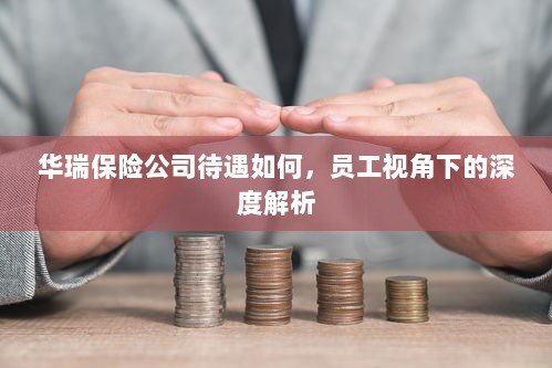 华瑞保险公司员工待遇深度解析，员工视角探讨福利待遇-图1