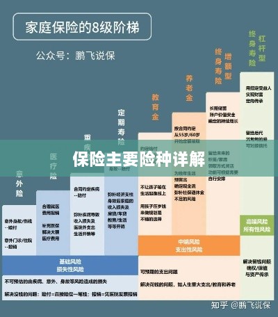 保险主要险种详解概览-图1