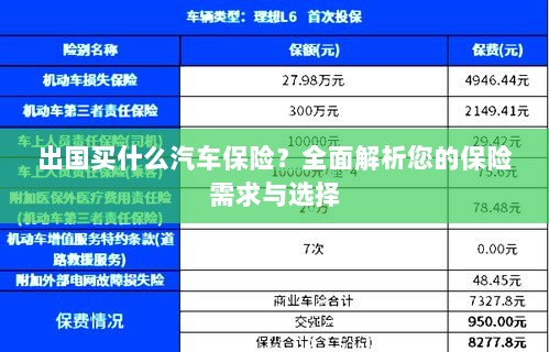 全面解析，出国购车保险需求与选择指南-图1