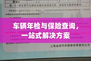 车辆年检与保险查询，一站式解决方案解析-图1