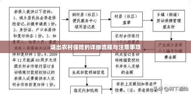 退出农村保险的详细流程与注意事项全解析-图1