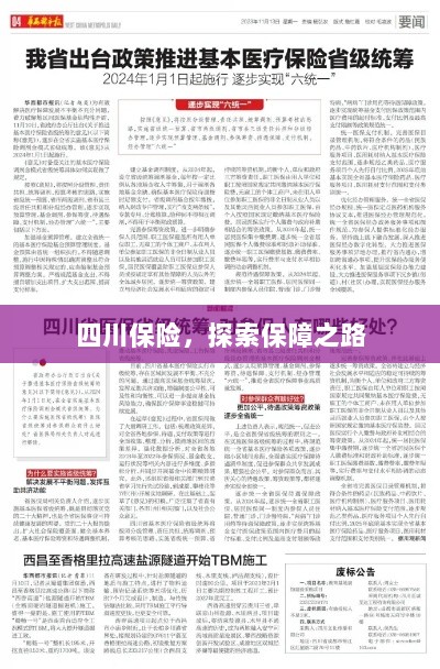 四川保险，探索全方位保障之路-图1