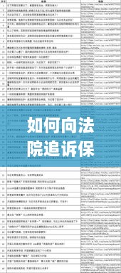 如何向法院追诉保险公司，全面指南解析-图1