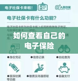 如何查看个人电子保险保单详情-图1 如何查看个人电子保险保单详情-图1