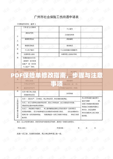 PDF保险单修改指南，步骤详解与注意事项-图1