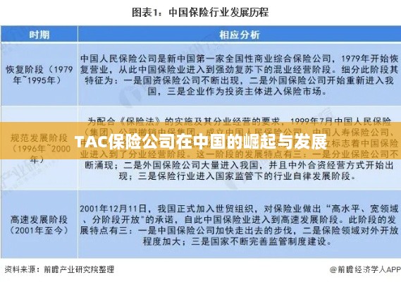TAC保险公司在中国的崛起与蓬勃发展之路-图1