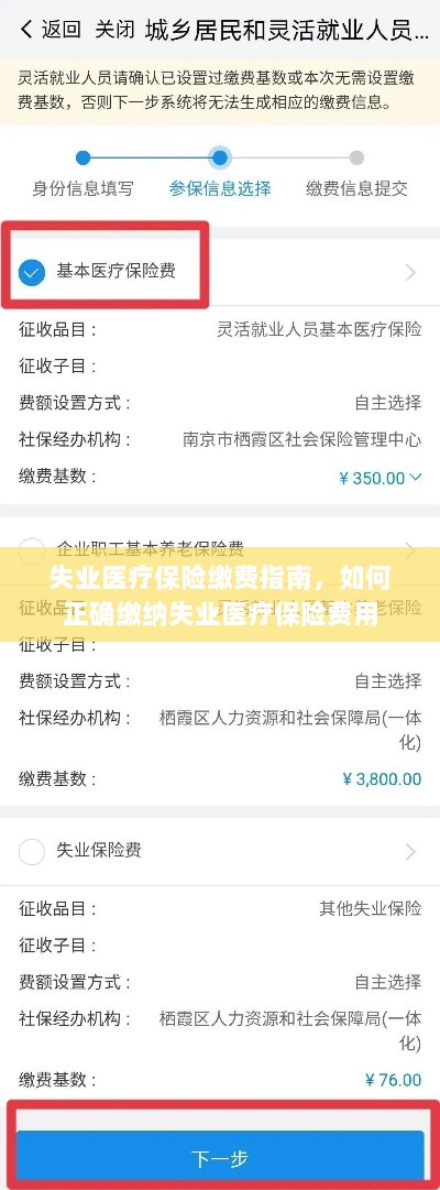 失业医疗保险缴费详解，如何正确缴纳费用指南-图1