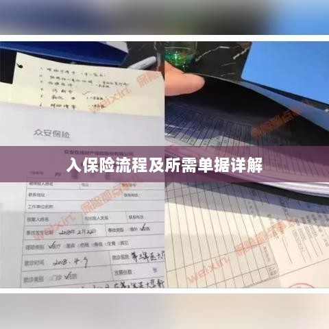 保险投保流程与所需单据全面解析-图1