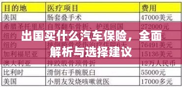 全面解析与选择建议，出国应购买哪些汽车保险？-图1