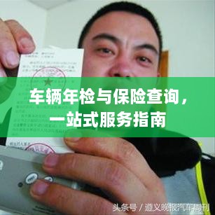 车辆年检与保险查询，一站式服务详解-图1