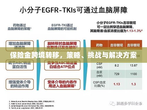保险金跨境转移,策略、挑战及解决方案探讨-图1 保险金跨境转移,策略、挑战及解决方案探讨-图1