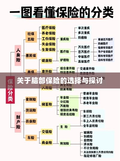 脑部保险的选择与探讨指南-图1 脑部保险的选择与探讨指南-图1