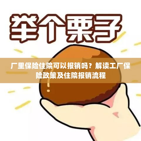 解读工厂保险政策，住院费用能否报销及报销流程解析-图1