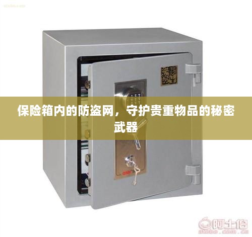保险箱内防盗网，守护贵重物品的终极防线-图1