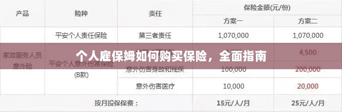 个人雇保姆保险购买指南，全面解析与攻略-图1