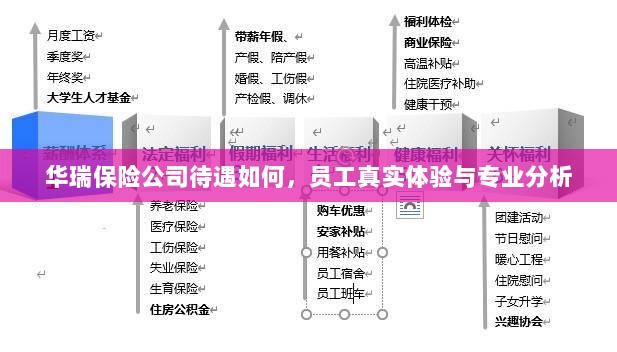 华瑞保险公司员工待遇与专业分析真实体验报告-图1