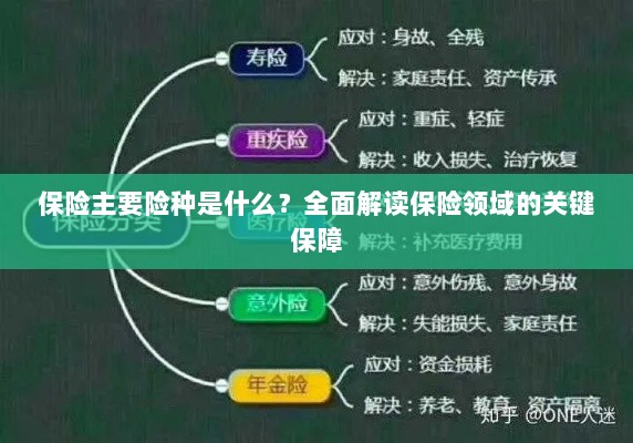 全面解读保险领域的关键保障，主要险种介绍与保障内容分析-图1