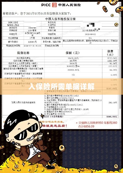 入保险必备单据解析-图1