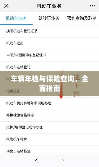 车辆年检与保险查询，全面指南解析-图1