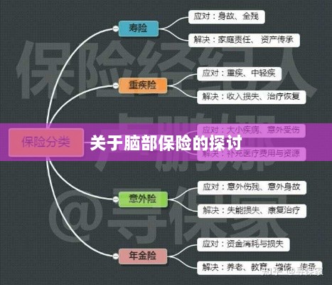 脑部保险，深度探讨与解析-图1