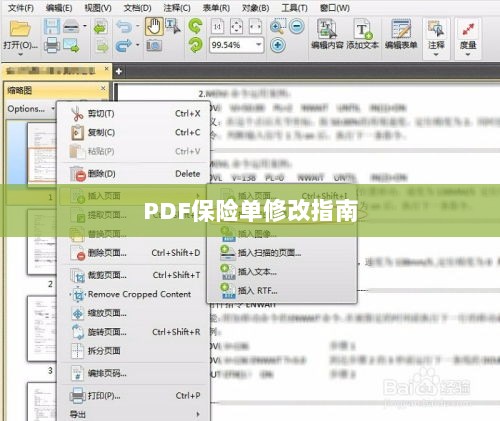 PDF保险单修改指南详解-图1 PDF保险单修改指南详解-图1