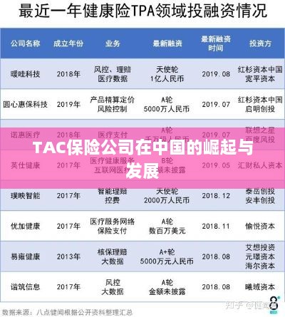 TAC保险公司在中国的崛起与蓬勃发展之路-图1