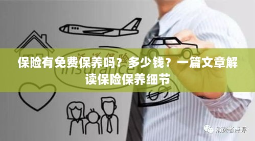 解读保险保养细节，免费保养政策与费用解析-图1