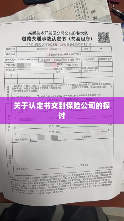 认定书交到保险公司的处理流程探讨-图1 认定书交到保险公司的处理流程探讨-图1
