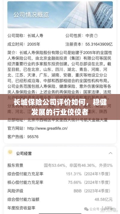 长城保险公司评价积极,行业稳健发展的佼佼者-图1 长城保险公司评价积极,行业稳健发展的佼佼者-图1